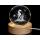 Glass ball diameter 60 mm, motif Seahorse