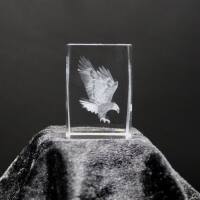 3D-Glas-Cube-Adler, versch. Größen