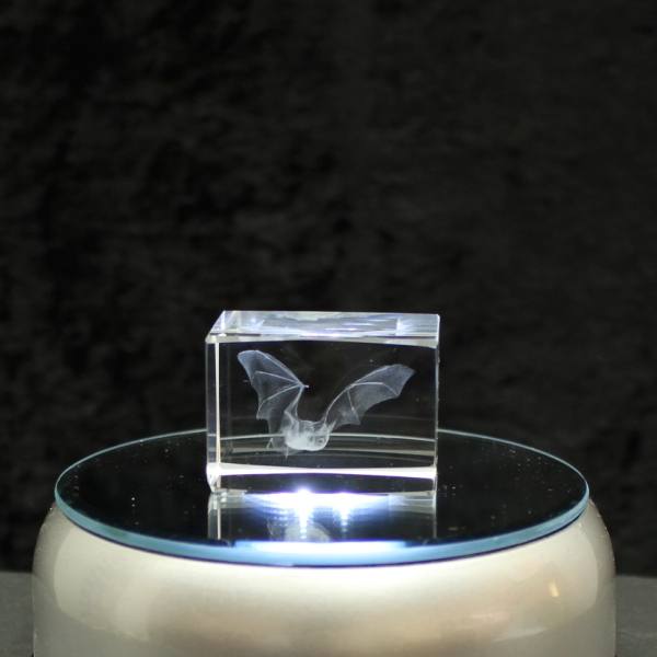 3D-Cube-Fledermaus 44x30x30