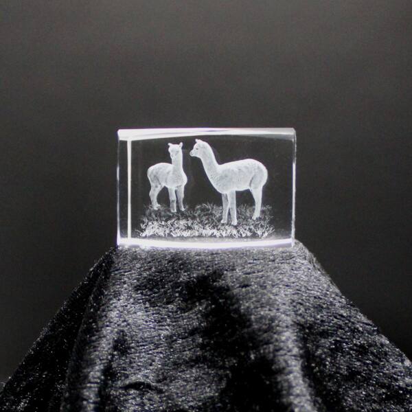 3D-Glas-Cube-2 Alpakas, versch. Größen