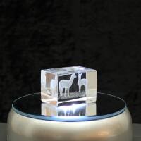 3D-Glas-Cube-2 Alpakas, versch. Größen