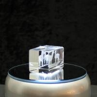 3D-Glas-Cube-2 Alpakas, versch. Größen