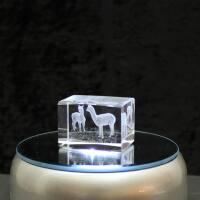 3D-Glas-Cube-2 Alpakas, versch. Größen