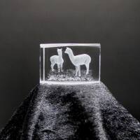 3D-Glas-Cube-2 Alpakas, versch. Größen