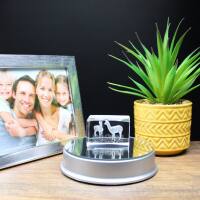 3D-Glas-Cube-2 Alpakas, versch. Größen