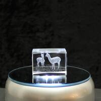 3D-Glas-Cube-2 Alpakas, versch. Größen