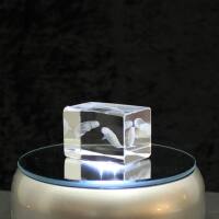 3D-Glas-Cube-Beluga, versch. Größen