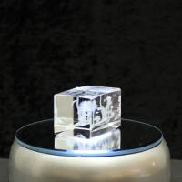 Crystal cuboid block, motif Several Dinosaurs