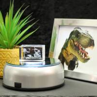 Crystal cuboid block, motif Several Dinosaurs