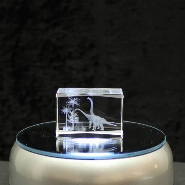 3D-Glas-Cube-2 Brachiosaurus, versch. Größen