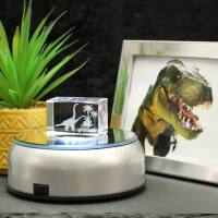 3D-Glas-Cube-2 Brachiosaurus, versch. Größen