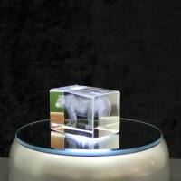 3D-Glas-Cube-Braunbär, versch. Größen
