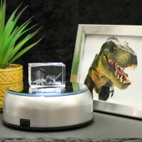 3D-Glas-Cube-2 Dinosaurier, versch. Größen