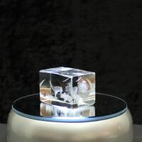 3D-Glas-Cube-2 Dinosaurier, versch. Größen