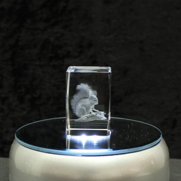 3D-Glas-Cube-Eichhörnchen, versch. Größen