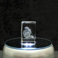 3D-Glas-Cube-Eichhörnchen, versch. Größen