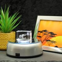 3D-Glas-Cube-Elephant unter Baum, versch. Größen