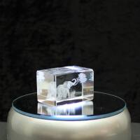 3D-Glas-Cube-Elephant unter Baum, versch. Größen