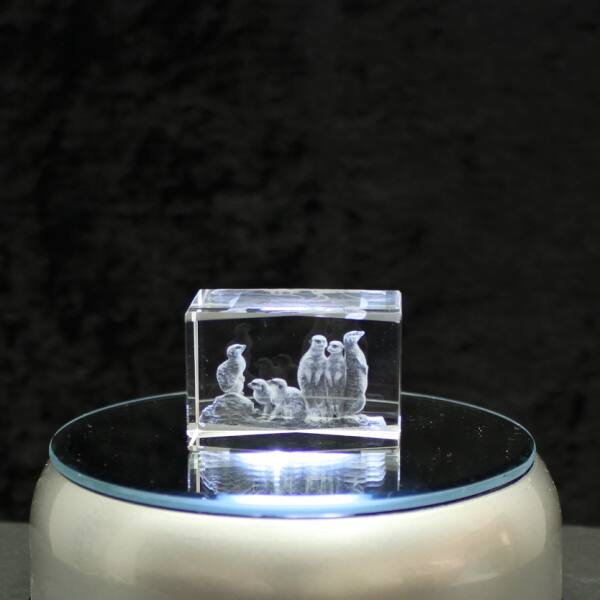 3D-Glas-Cube-Erdmännchen, versch. Größen