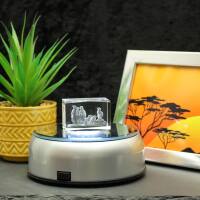 3D-Glas-Cube-Erdmännchen, versch. Größen