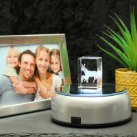 3D-Glas-Cube-Esel, versch. Größen