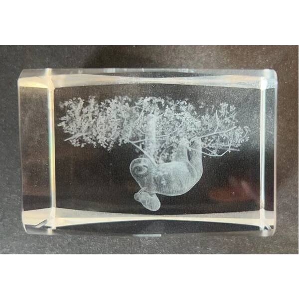 3D-Glas-Cube-Faultier, versch. Größen