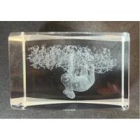 3D-Glas-Cube-Faultier, versch. Größen