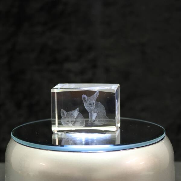 3D-Glas-Cube-Fennek, versch. Größen