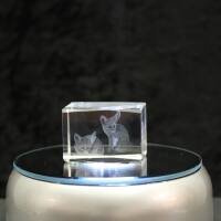 3D-Glas-Cube-Fennek, versch. Größen