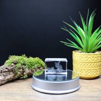 3D-Glas-Cube-Fennek, versch. Größen