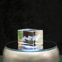 3D-Glas-Cube-Formel 1, versch. Größen