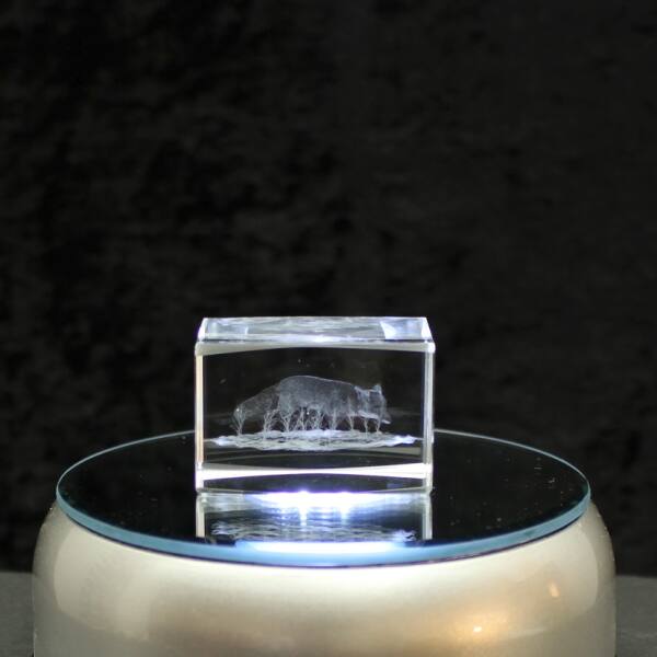 3D-Glas-Cube-Fuchs, versch. Größen