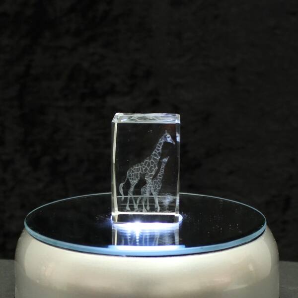 3D-Glas-Cube-2 Giraffen, versch. Größen