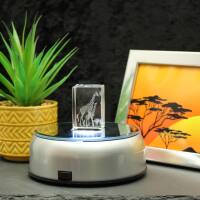 3D-Glas-Cube-2 Giraffen, versch. Größen