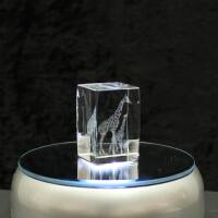 3D-Glas-Cube-2 Giraffen, versch. Größen