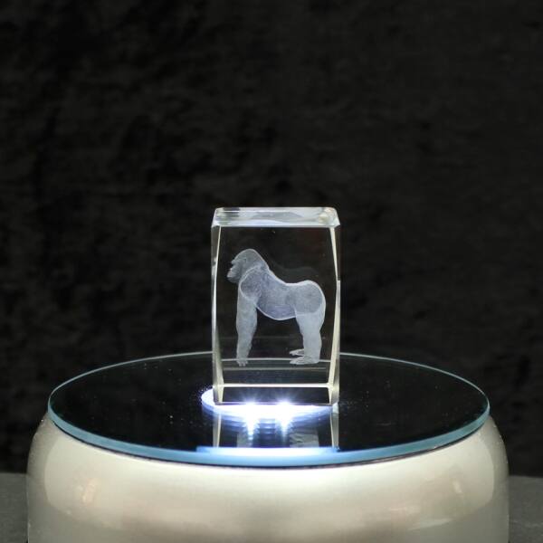 3D-Glas-Cube-Gorilla, versch. Größen