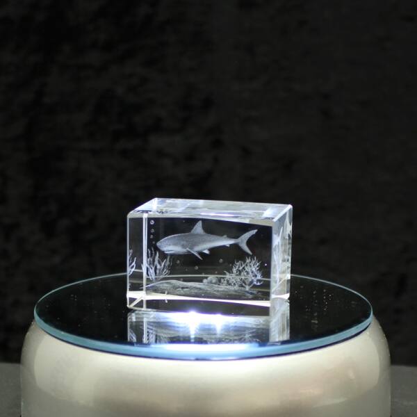 3D-Glas-Cube-Hai, versch. Größen