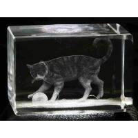 3D-Glas-Cube-Katze, versch. Größen