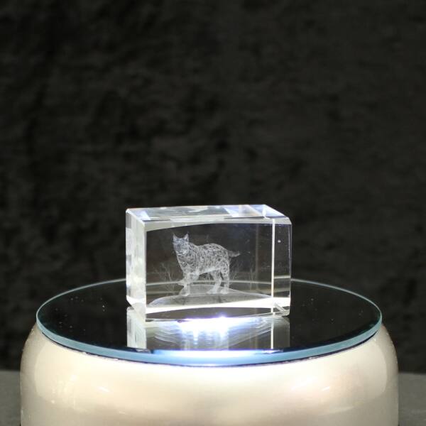 3D-Glas-Cube-Luchs, versch. Größen