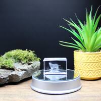 3D-Glas-Cube-Luchs, versch. Größen