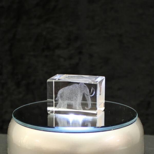 Crystal cuboid block, motif Mammoth
