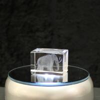 3D-Glas-Cube-Mammut, versch. Größen