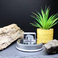 3D-Glas-Cube-Mammut, versch. Größen