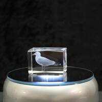 3D-Glas-Cube-Möwe, versch. Größen