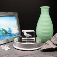 3D-Glas-Cube-Möwe, versch. Größen