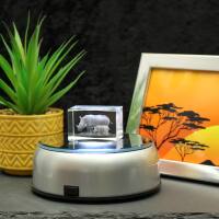 3D-Glas-Cube-Nashorn, versch. Größen