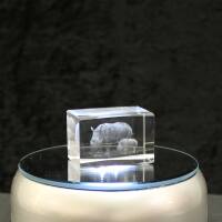 3D-Glas-Cube-Nashorn, versch. Größen