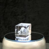 3D-Glas-Cube-Nashorn, versch. Größen