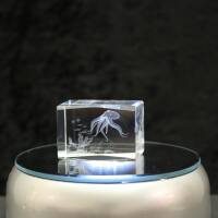 3D-Glas-Cube-Oktopuss, versch. Größen
