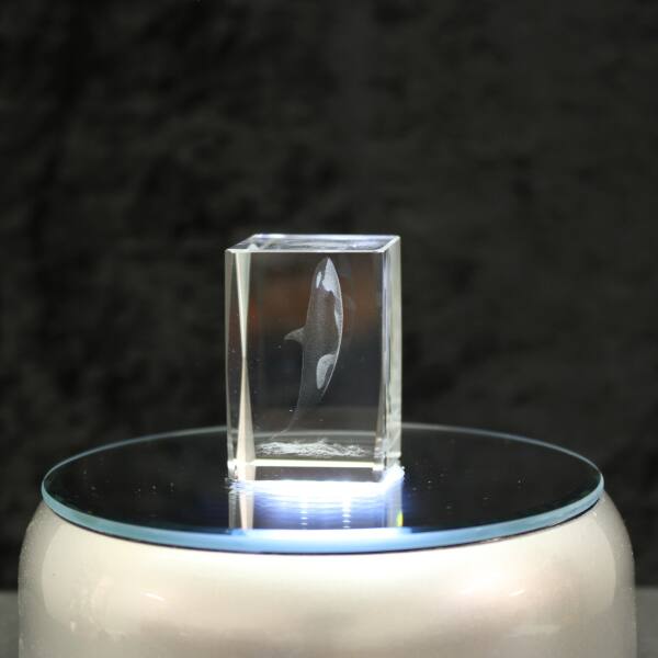 3D-Glas-Cube-Orca, versch. Größen